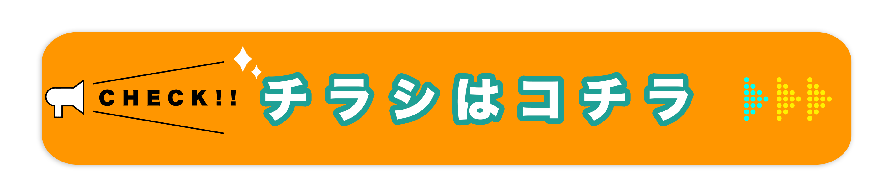 夏得サマーセール　チラシ