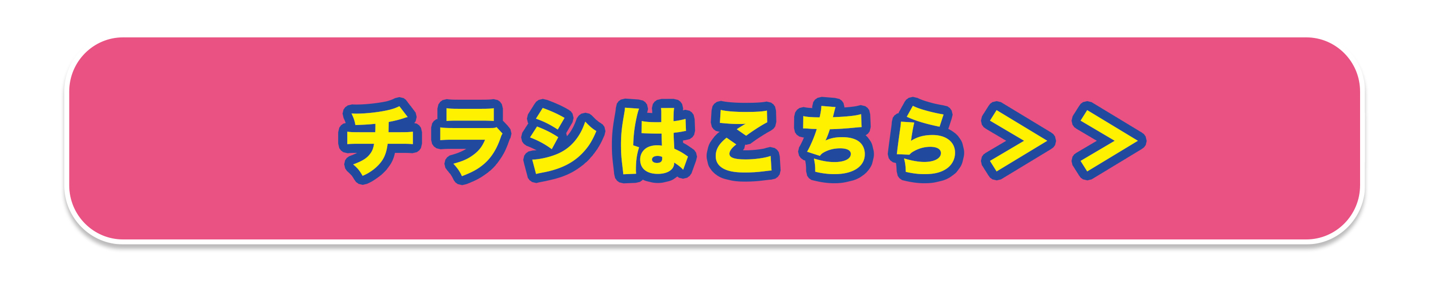 プレミアムフェスタ　チラシ