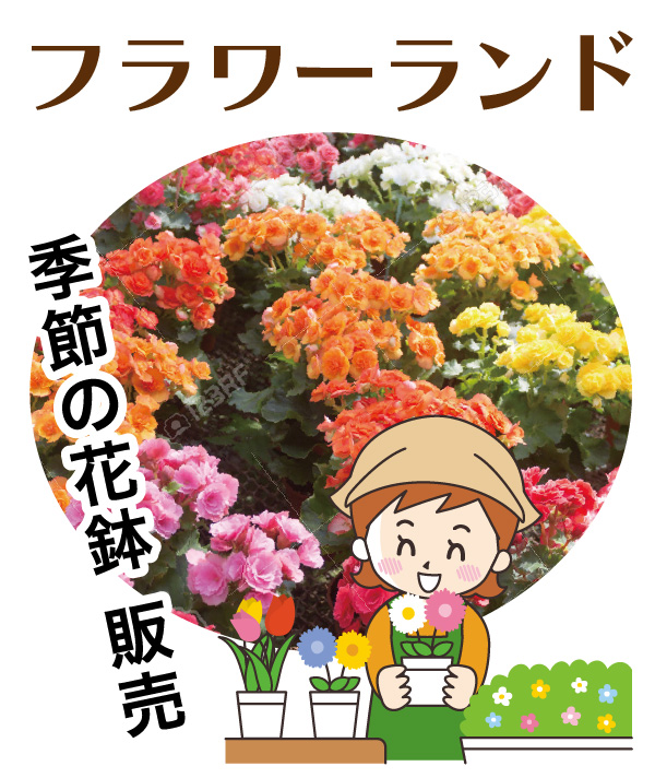 フラワーランド　季節の花鉢販売